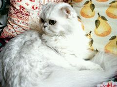 -广州迷途主题旅馆(海珠广场店)