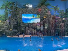 -珠海长隆海洋王国