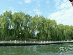 android_upload_pic-皇家御河游(紫御湾码头)