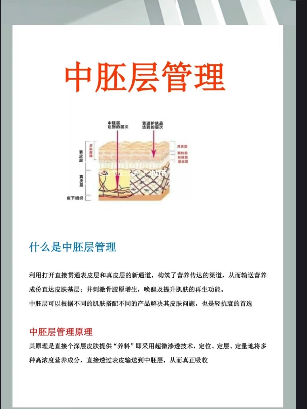 潜育层图片