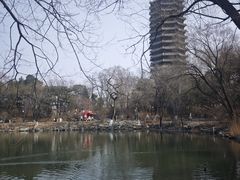 -农园餐厅(北京大学店)