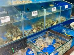 水产区-张树军海鲜(王府壹号店)