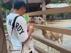 -北戴河集发农业梦想王国