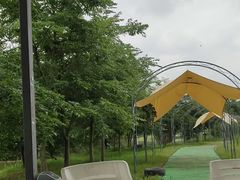 -金谷域澳洲庄园