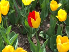 -长春公园(普阳街道)