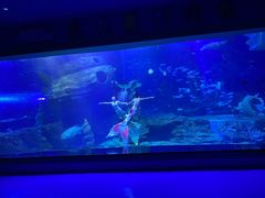 -多彩贵州城极地海洋世界