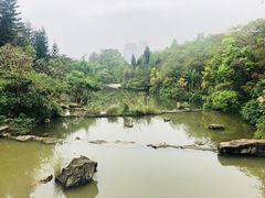 -云溪植物园