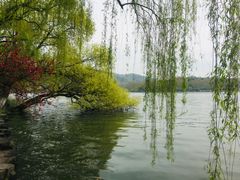 -西湖外事游船(湖滨二公园外事游船码头)