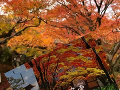 -常寂光寺