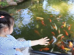 -珠海圆明新园