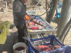 -姥家大锅台水库渔家