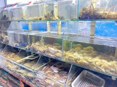 水产区-来之顺海鲜菜馆·青岛菜(栈桥店)