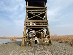 -盐城丹顶鹤湿地生态旅游区