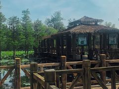 -溱湖国家湿地公园