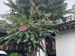 -徐霞客故居