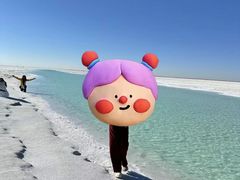 -东台吉乃尔湖