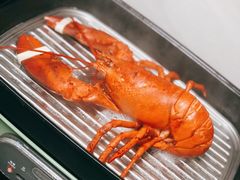 波士顿龙虾-盒马鲜生(曜一城店)