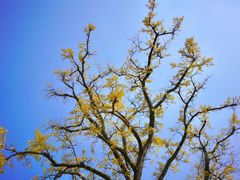 -金堂县云顶石城风景区
