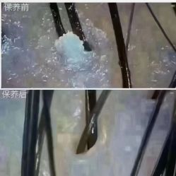 -诗碧曼养发