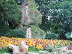 -雁南飞茶田景区
