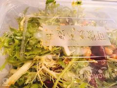 苦桔-馋嘴蛙火锅