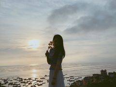 -枸杞岛