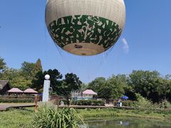 -西溪国家湿地公园