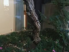 -瓦库茶馆17号(海汇港店)