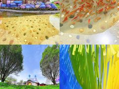 -水上乐园·欢乐世界