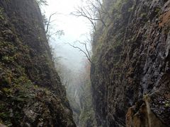 -塔云山