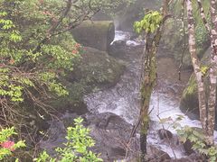 -大围山国家森林公园
