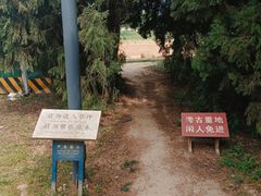 -秦始皇帝陵博物院-丽山园