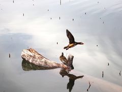 -颐和园