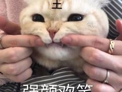 -胡桃里音乐酒馆(白云五号T5 MALL店)