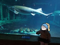 -华夏文旅海洋公园