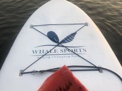 -WhaleSports户外水上运动俱乐部(朝阳公园店)