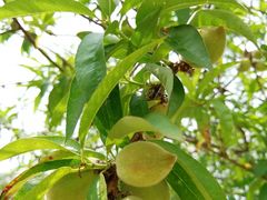 景点-盈香心动乐园