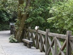 -广州市流溪河国家森林公园