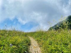 -白草畔自然风景区