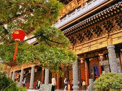 -神光山国家森林公园