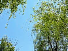 -苏州湾体育公园
