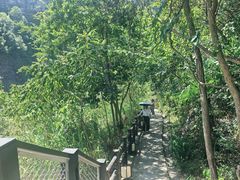 -门溪山居·镜岭味道