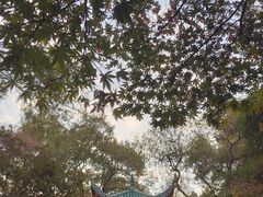 -岳麓山风景名胜区