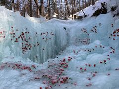-洛阳白云山景区