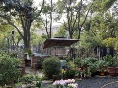 -谷咖啡·鲜花绿植花园餐厅
