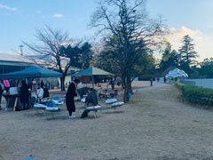 -金泽21世纪美术馆