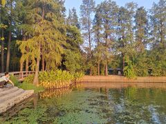 -东湖落雁景区
