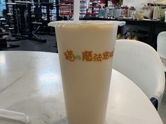 -猫的魔法密林(衣裳街店)