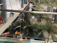 -贵阳高新惠诚食品有限公司