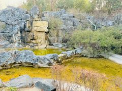 -上海吴淞炮台湾国家湿地公园